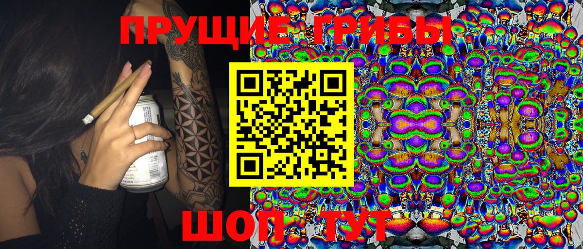 Галлюциногенные грибы MAGIC MUSHROOMS  Вход с VPN  Электрогорск  Псилоцибиновые грибы ЛСД 