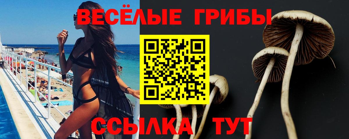 Галлюциногенные грибы Magic Shrooms Электрогорск