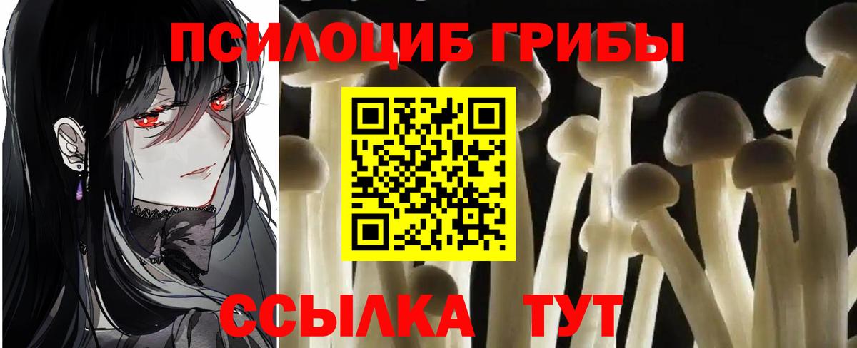 Галлюциногенные грибы мицелий  Электрогорск  Псилоцибиновые грибы прущие грибы 